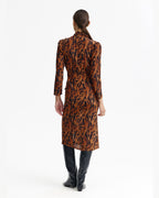 Pheonix Dress