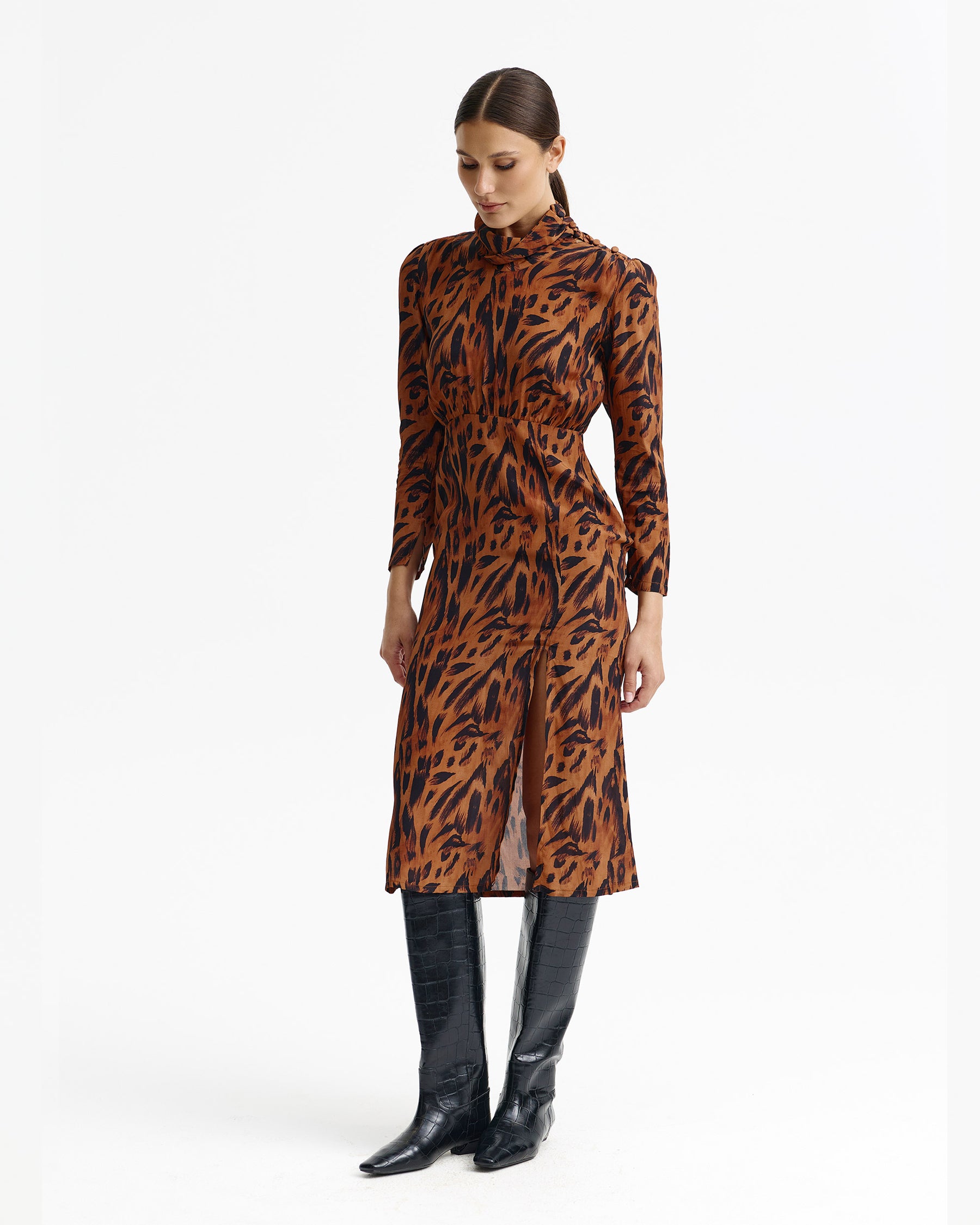 Phonix Dress
