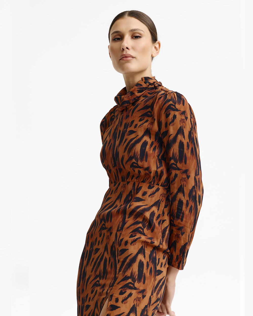 Phonix Dress