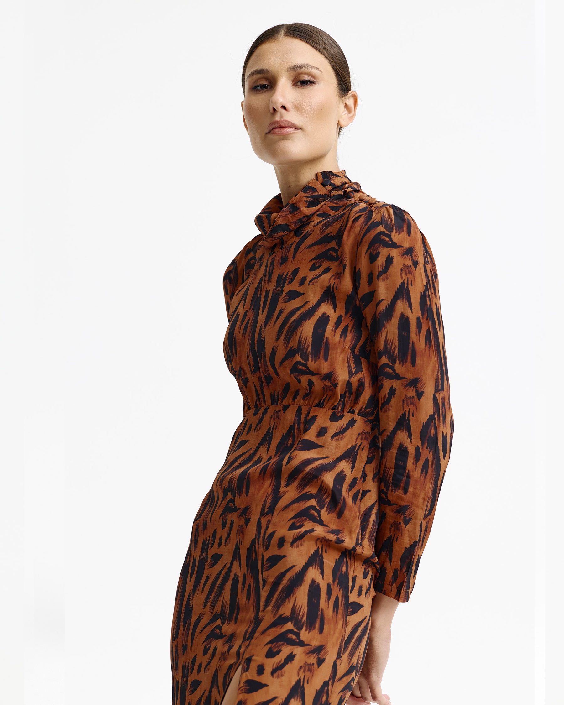 Phonix Dress